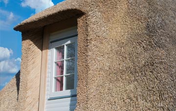 Longdown thatch roof disadvantages